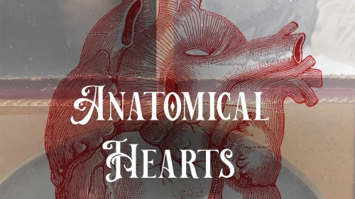 anatomical hearts image