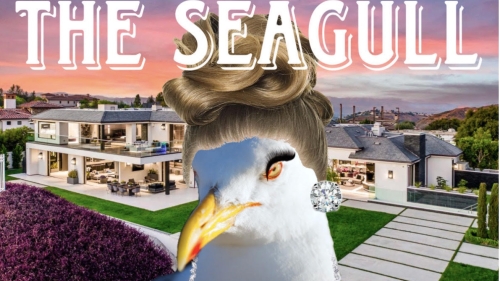 image for the seagull